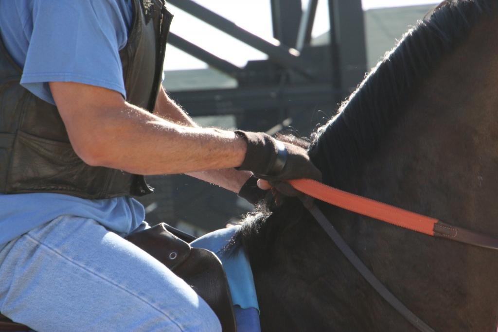 Sanchez's quiet, calm hands. (Julie June Stewart photo)